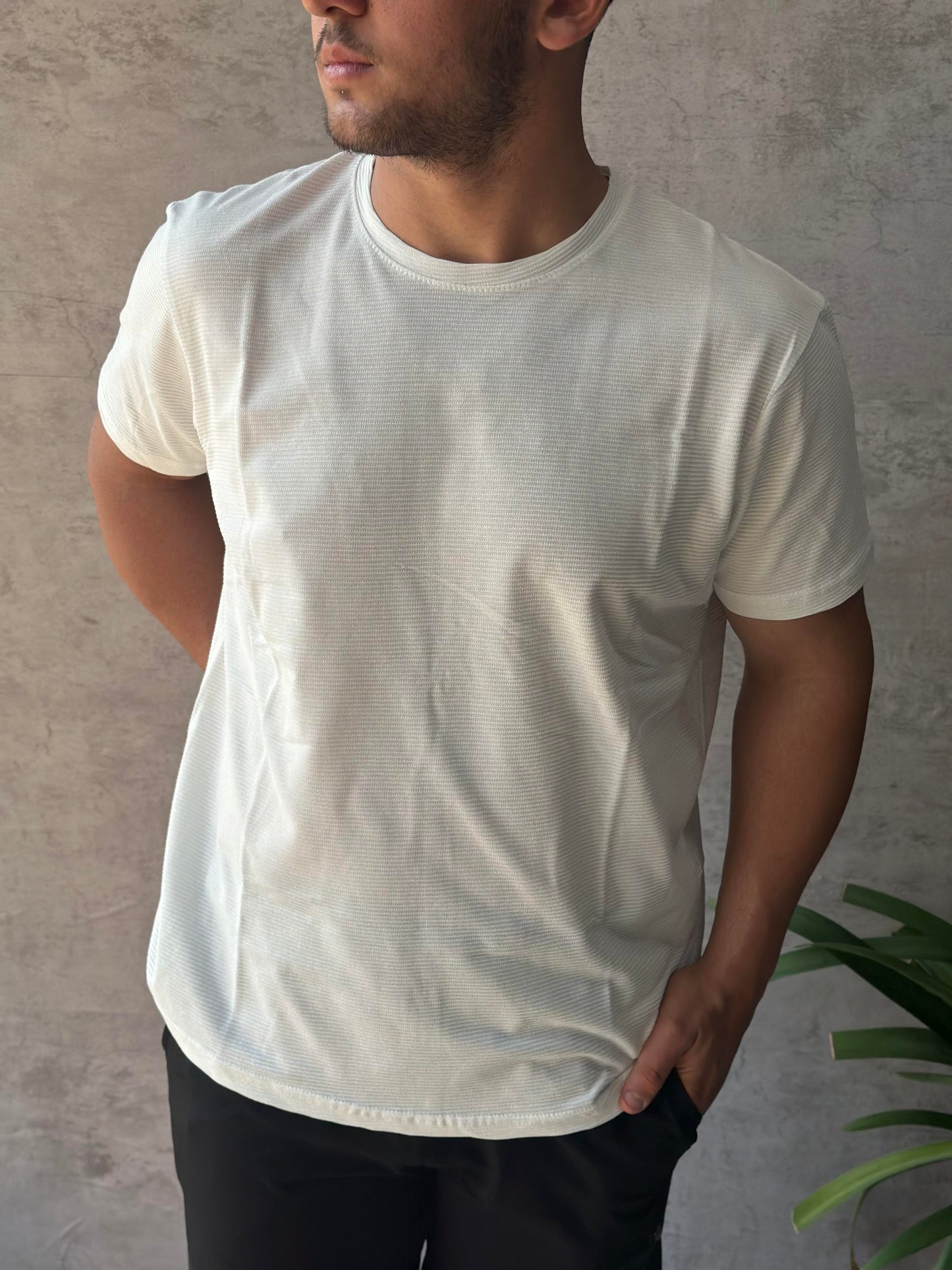 WOLE(2112) Y.YAKATSHIRT